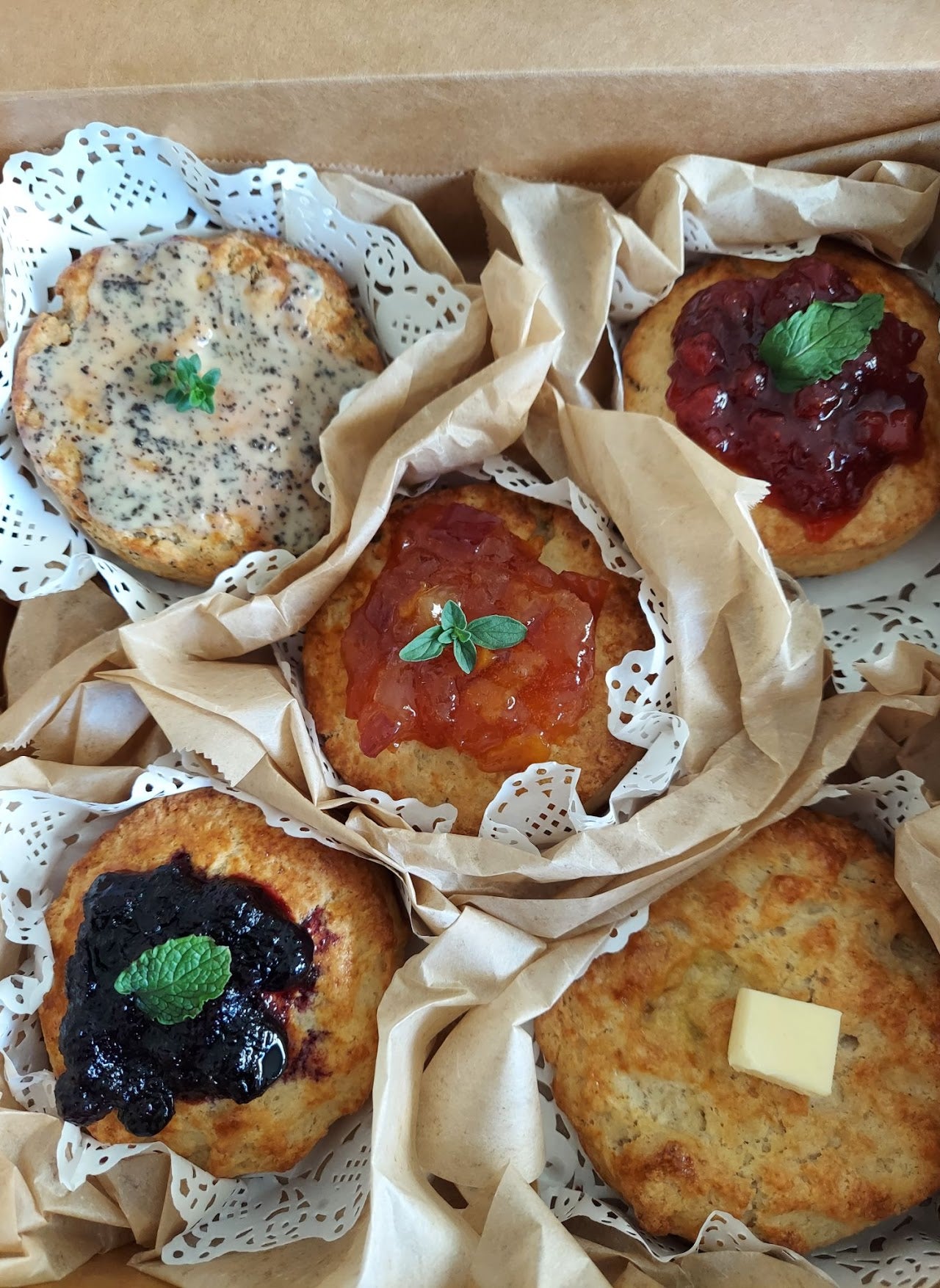 OCSCONE SET (OMACASE)