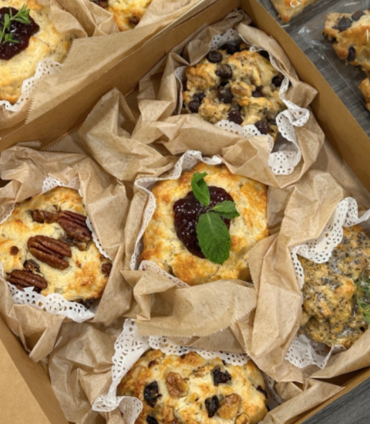 OCSCONE SET (OMACASE)